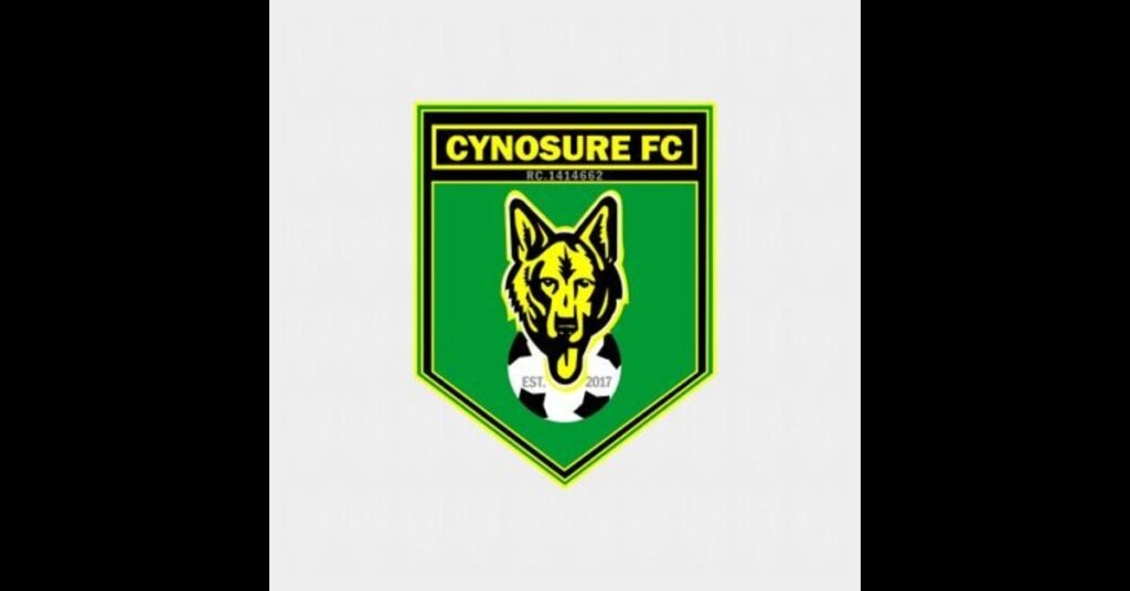 Cynosure FC Petitions NFF Over 'Unjust' Match-Fixing Sanctions