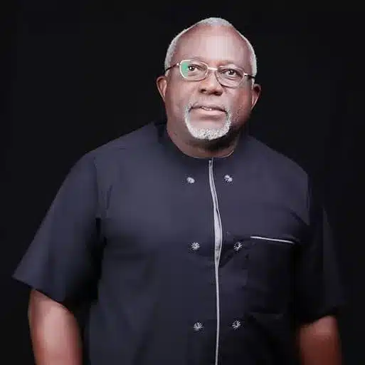 Elumelu: NFF World Cup Appeal Won't Be Heard 2 Elumelu: NFF World Cup Appeal Won't Be Heard